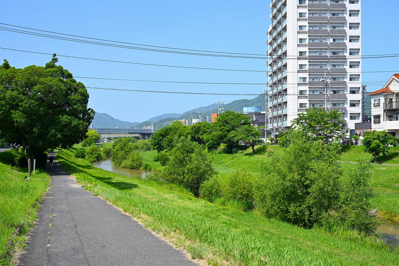 モダンなリビングルームのインテリア