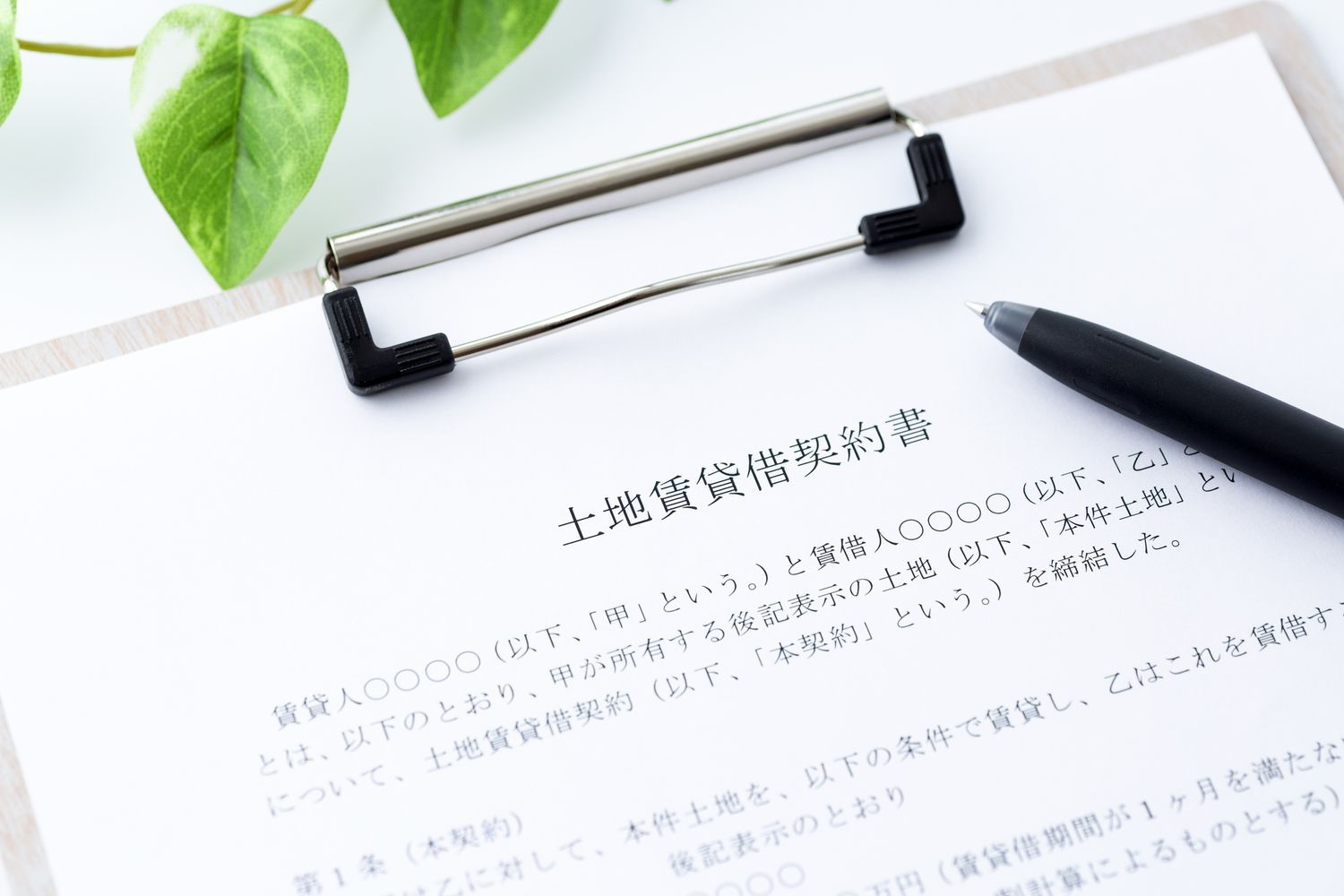借地